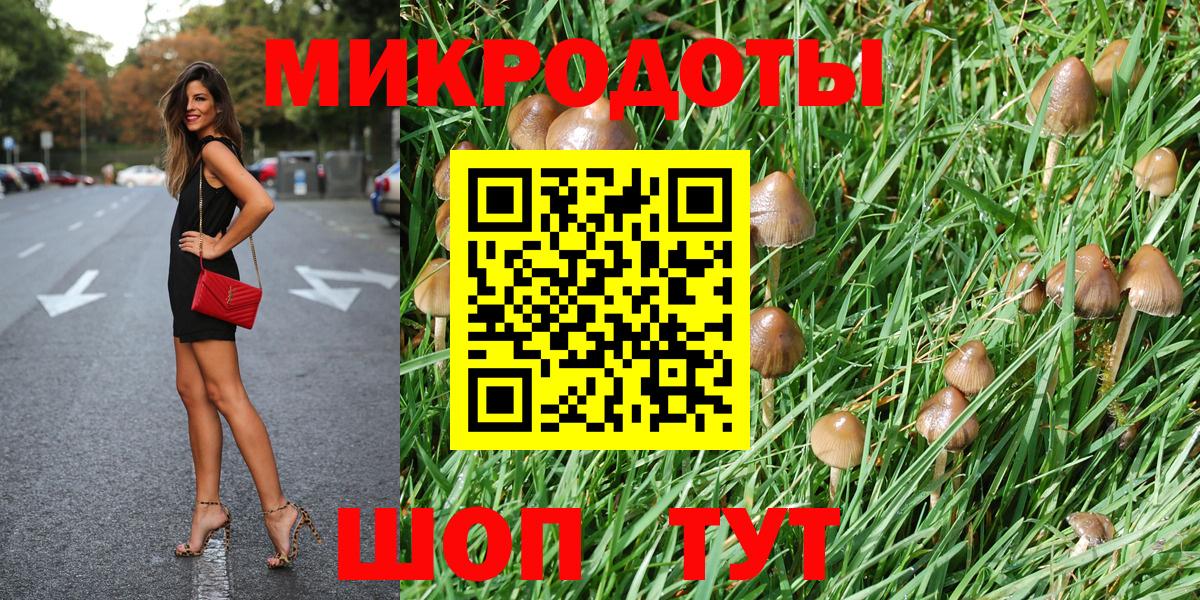 Дивногорск  Галлюциногенные грибы мухоморы  Вход с VPN 