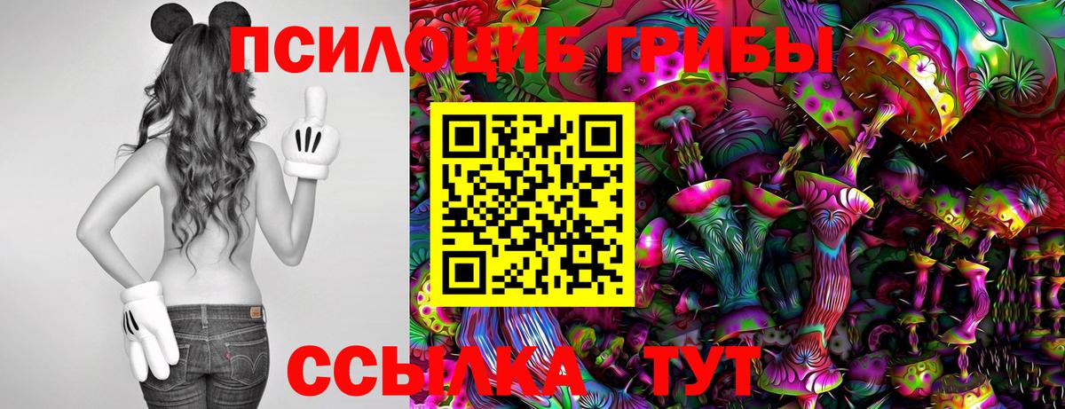 Псилоцибиновые грибы мухоморы Дивногорск